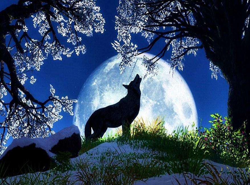Wolf-Silhouette bei Mondschein - Diamond Painting Tiermotiv