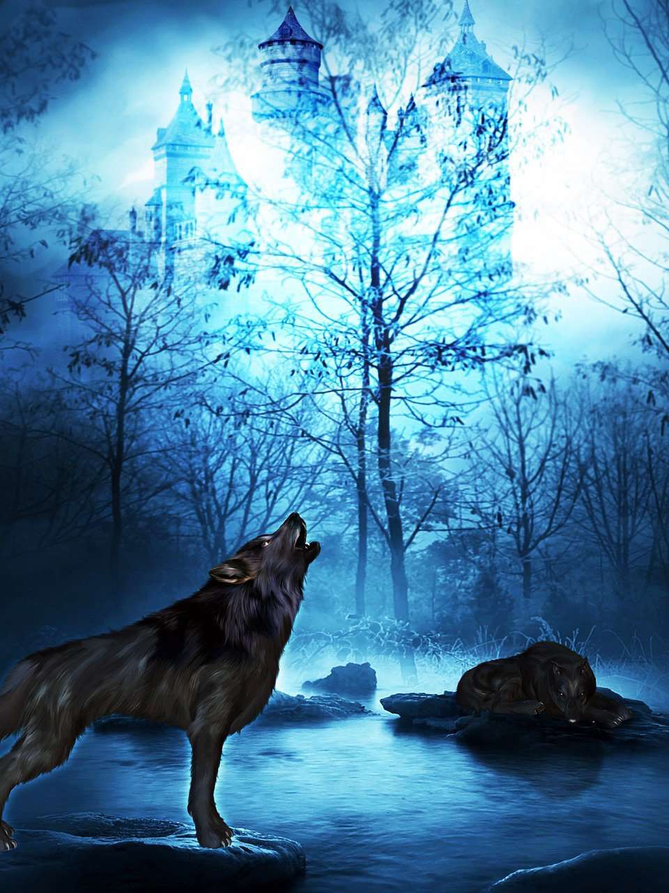 Wolf und Schloss - Diamond Painting Tiermotiv