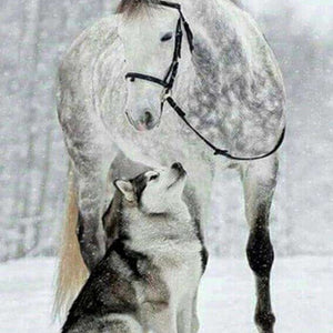 Wolf und Pferd im Schnee - Diamond Painting Tiermotiv