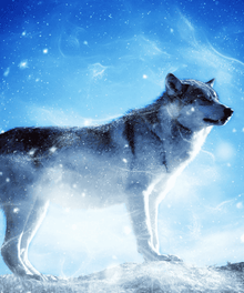 Wolf im Schnee - Diamond Painting Tiermotiv