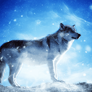 Wolf im Schnee - Diamond Painting Tiermotiv