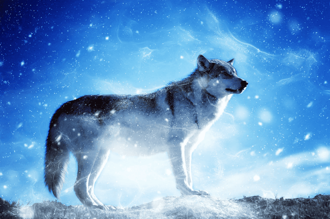 Wolf im Schnee - Diamond Painting Tiermotiv