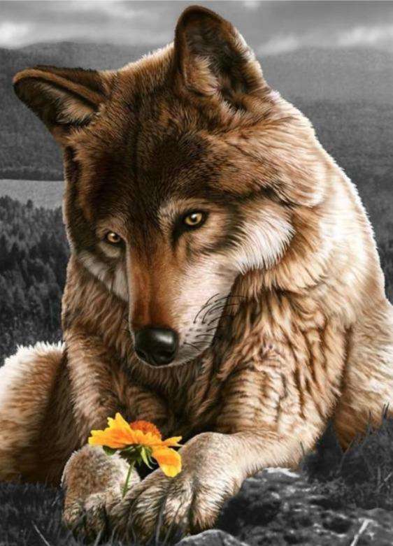 Wolf mit Blume - Diamond Painting Tiermotiv