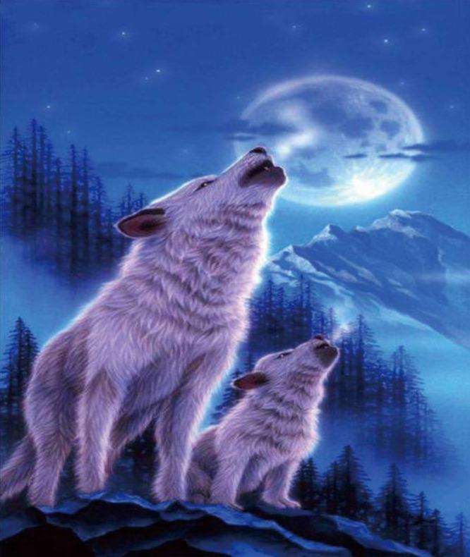 Wölfe bei Vollmond - Diamond Painting Nachtmotiv