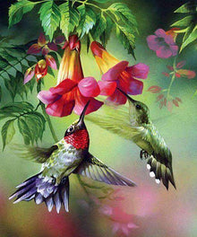 Bunte Kolibris Blumen Diamond Painting