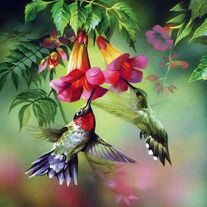 Bunte Kolibris Blumen Diamond Painting