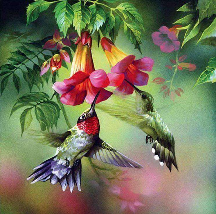 Bunte Kolibris Blumen Diamond Painting