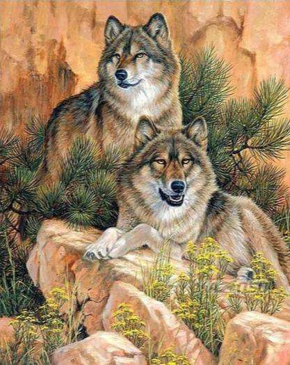 Wölfe auf einem Felsen - Diamond Painting Tiermotiv