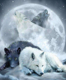 Wölfe in der Nacht - Diamond Painting Tiermotiv
