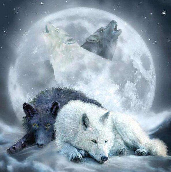 Wölfe in der Nacht - Diamond Painting Tiermotiv