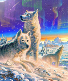 Wölfe in der Arktis - Diamond Painting Tiermotiv