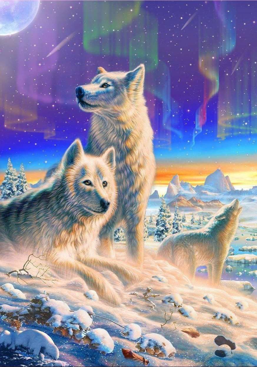 Wölfe in der Arktis - Diamond Painting Tiermotiv