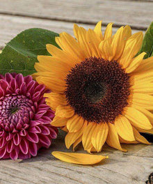 Sommerblumen - Diamond Painting Blumen Motiv