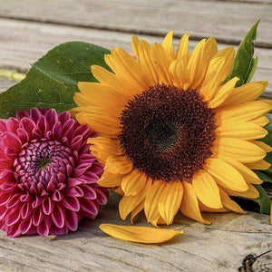 Sommerblumen - Diamond Painting Blumen Motiv