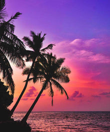 Sonnenuntergang am tropischen Strand - Diamond Painting Meer Motiv