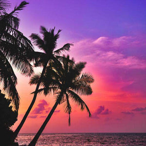 Sonnenuntergang am tropischen Strand - Diamond Painting Meer Motiv