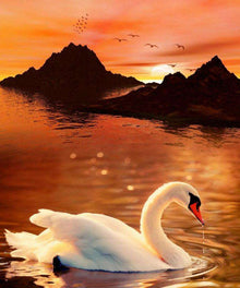 Schwan bei Sonnenuntergang - Diamond Painting Tiere Motiv