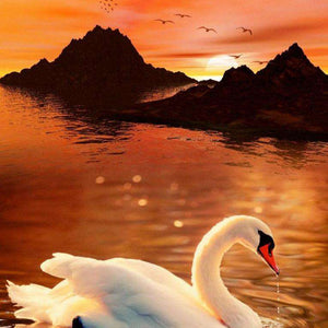 Schwan bei Sonnenuntergang - Diamond Painting Tiere Motiv