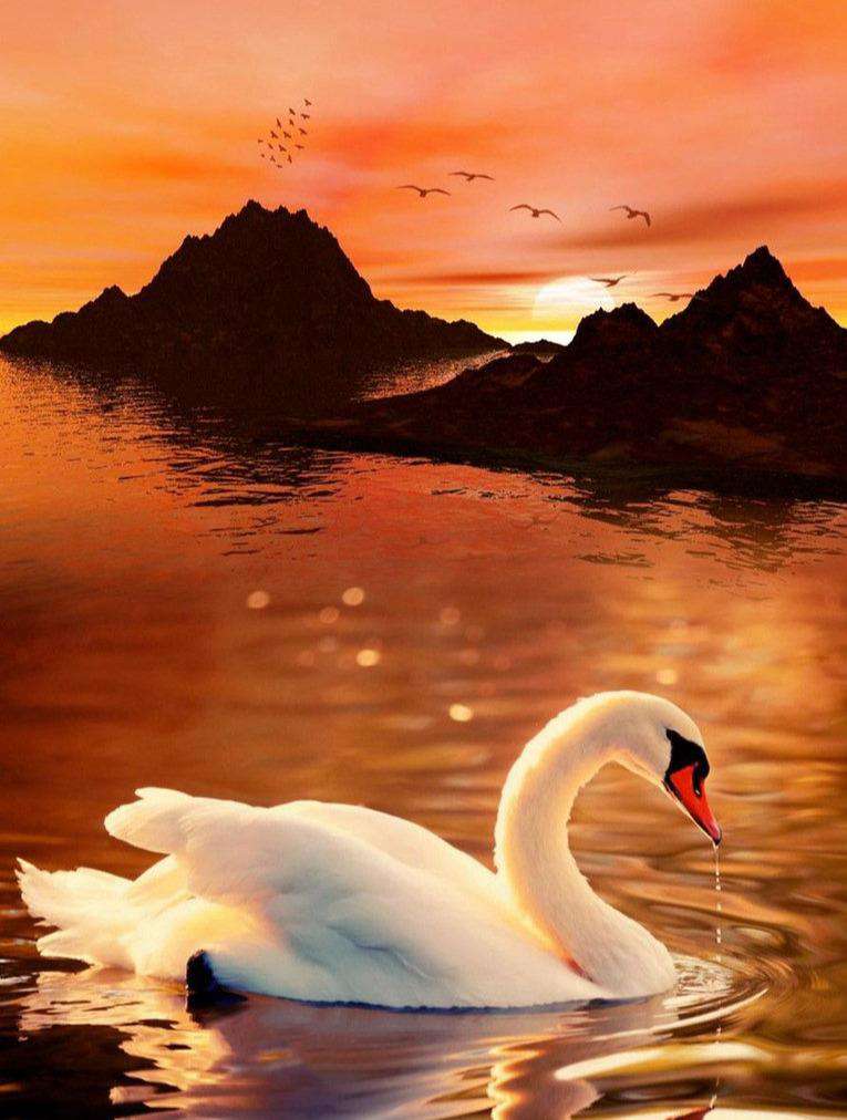 Schwan bei Sonnenuntergang - Diamond Painting Tiere Motiv
