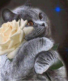 Schwarze Katze mit Blume Diamond Painting