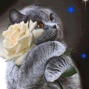 Schwarze Katze mit Blume Diamond Painting