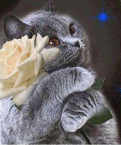 Schwarze Katze mit Blume Diamond Painting