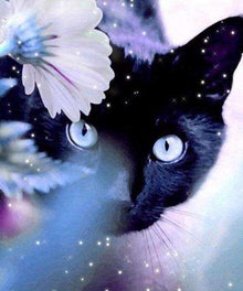 Schwarze Katze - Diamond Painting Katzenmotiv