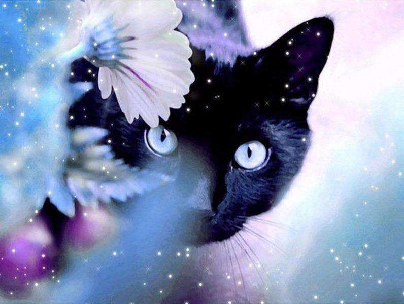 Schwarze Katze - Diamond Painting Katzenmotiv