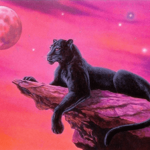 Schwarzer Panther auf einem Felsen - Diamond Painting Tiermotiv