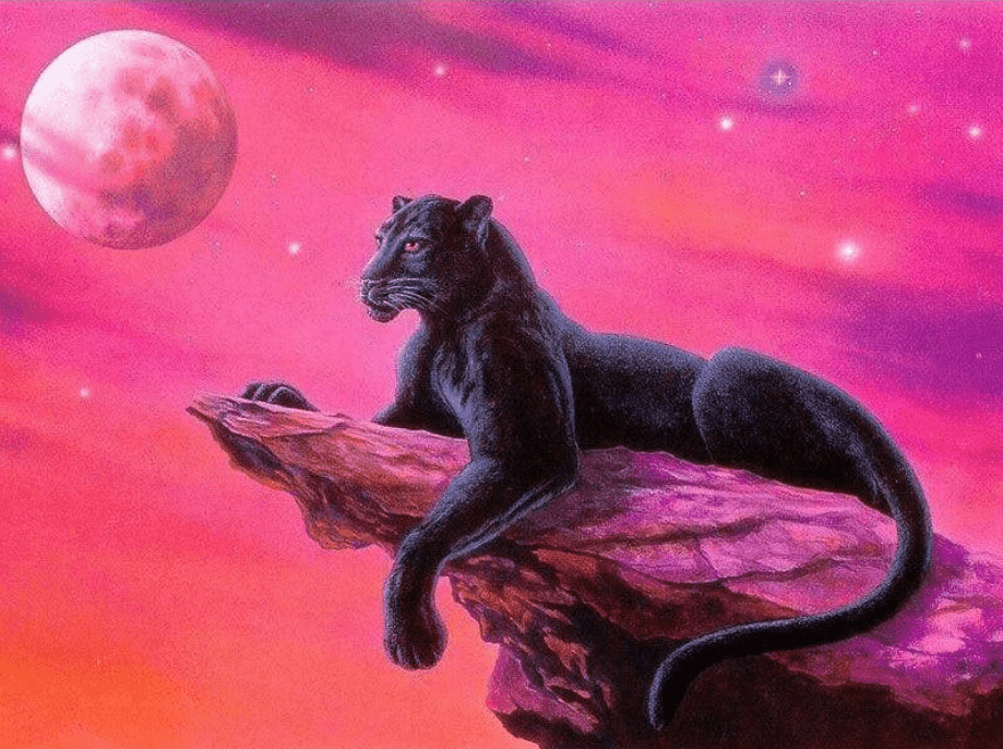 Schwarzer Panther auf einem Felsen - Diamond Painting Tiermotiv