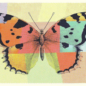 Bunter Schmetterling Diamond Painting mit Patchwork-Hintergrund