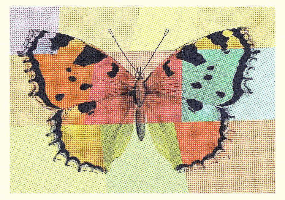 Bunter Schmetterling Diamond Painting mit Patchwork-Hintergrund