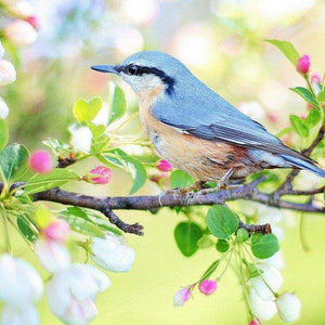 Frühlingsvogel Diamond Painting Motiv