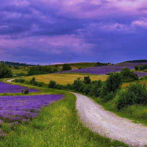Frühlingsmorgen Landschaft Diamond Painting