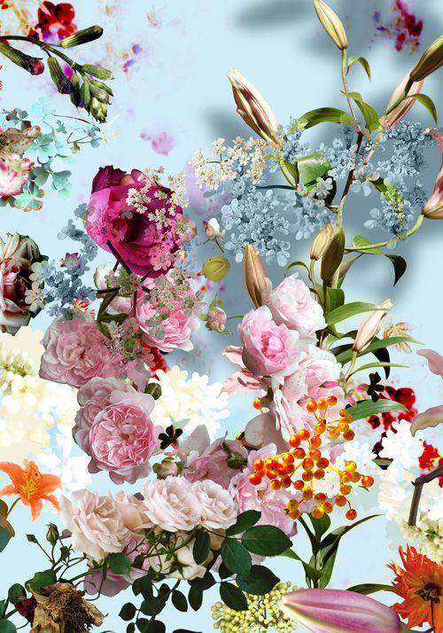 Schöne Blumen Diamond Painting