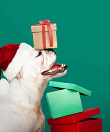 Weihnachtswelpe Diamond Painting Hund mit Geschenken