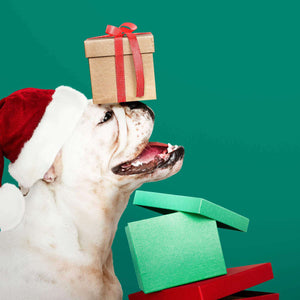Weihnachtswelpe Diamond Painting Hund mit Geschenken