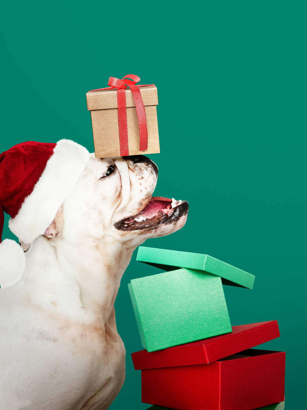 Weihnachtswelpe Diamond Painting Hund mit Geschenken