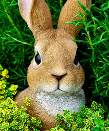 Neugieriger Hase Diamond Painting mit Gras und gelben Blüten