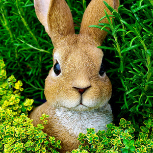 Neugieriger Hase Diamond Painting mit Gras und gelben Blüten