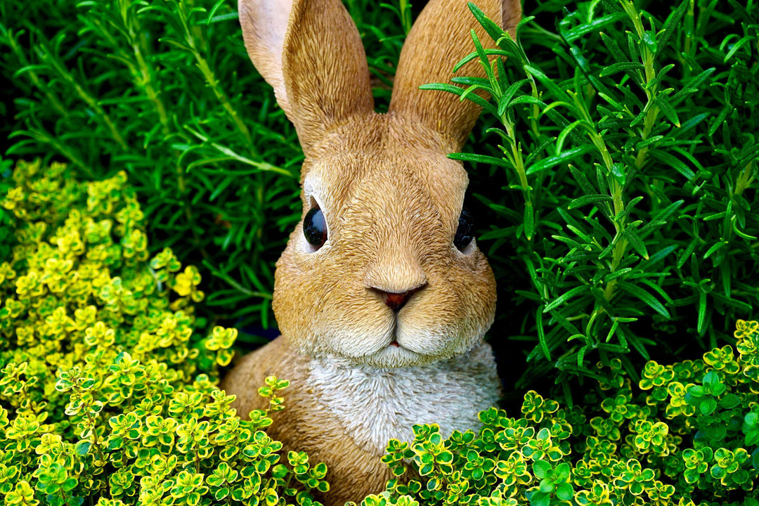 Neugieriger Hase Diamond Painting mit Gras und gelben Blüten