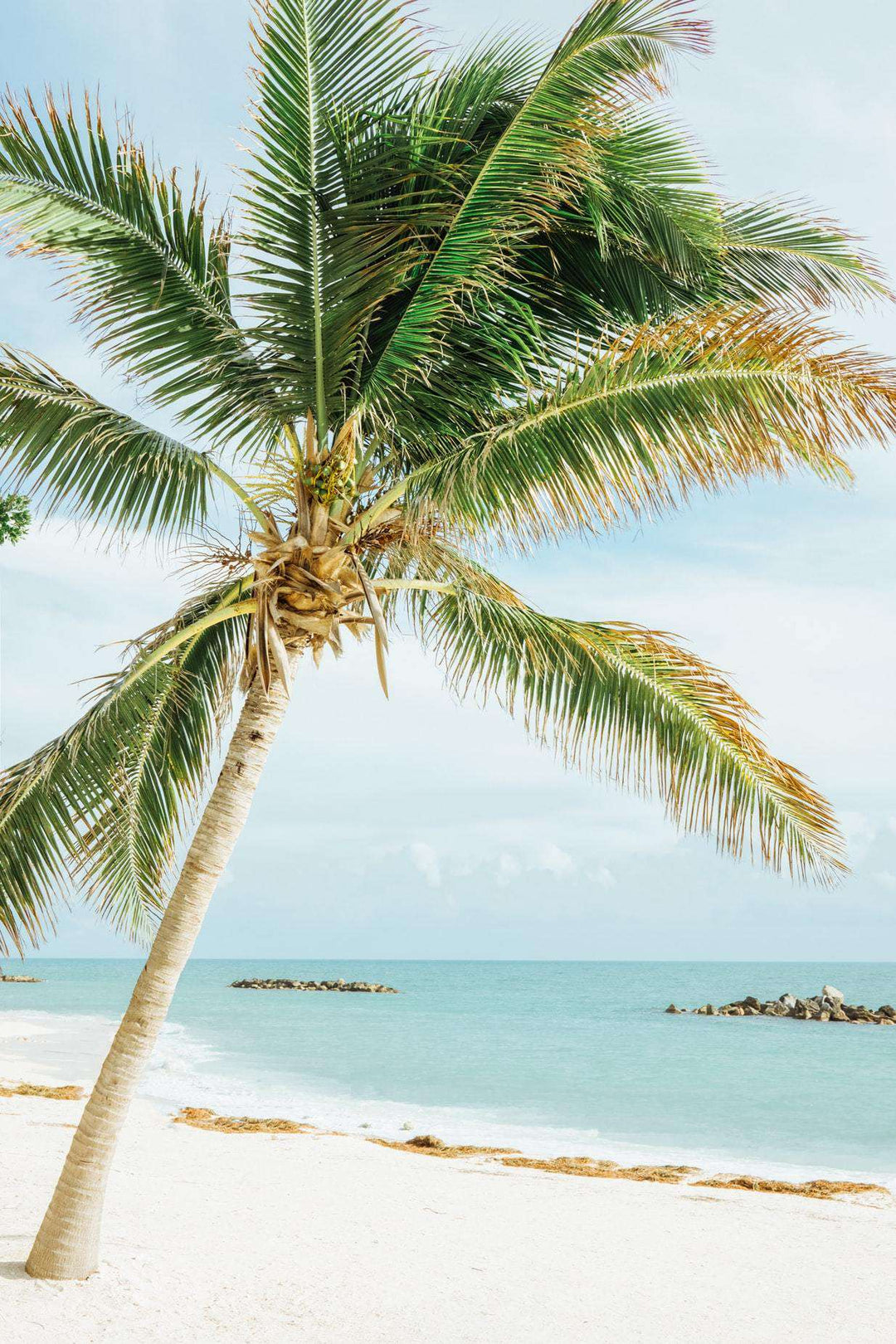Palme am Meer Diamond Painting mit Strand und türkisblauem Wasser