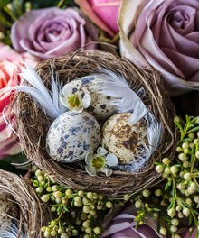 Vogelnest in Rosen - Diamond Painting Frühlingsmotiv