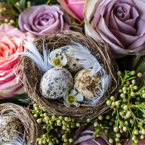 Vogelnest in Rosen - Diamond Painting Frühlingsmotiv