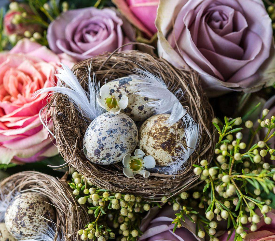 Vogelnest in Rosen - Diamond Painting Frühlingsmotiv