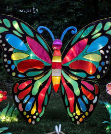 Bunter Kunst Schmetterling Diamond Painting