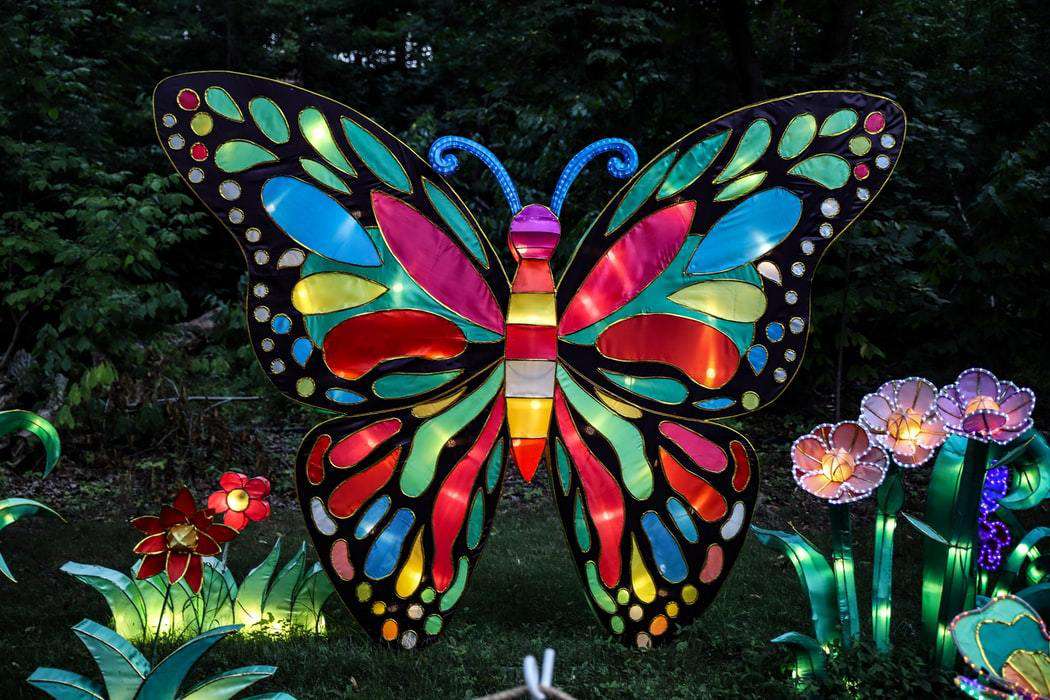 Bunter Kunst Schmetterling Diamond Painting