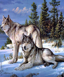 Wölfe im Schnee - Diamond Painting Wintermotiv