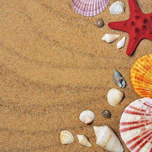 Muscheln im Sand Diamond Painting mit Seesternen