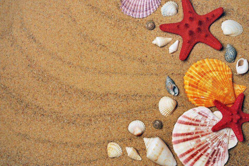 Muscheln im Sand Diamond Painting mit Seesternen